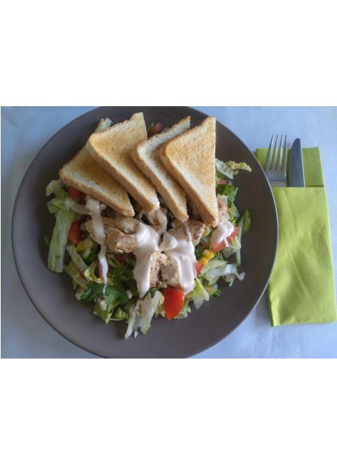 Kuracie gyros rezančeky na zeleninovom šaláte, bagetka, dresing