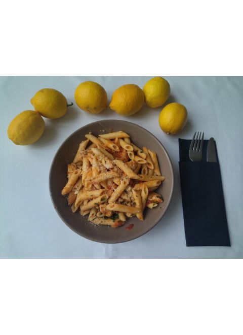 Penne s pomodoro omáčkou a kuracím mäskom